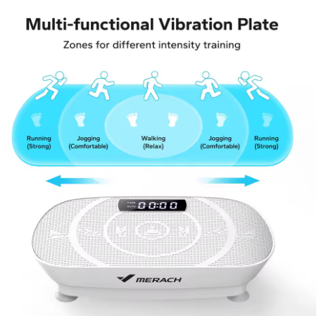 Vibration Plate Exercise Machine Whole Body Workout